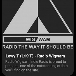 Radio WIG/WAM Artist